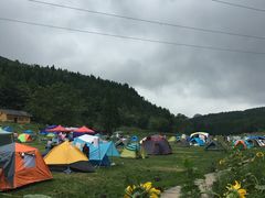 -武陵山森林公园