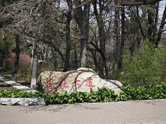 -吉林大学(南岭校区)