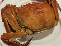 -君来梁溪饭店-餐厅