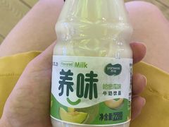 -丝恋丝娃娃(金阳国贸店)