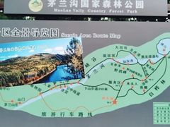 -茅兰沟国家森林公园
