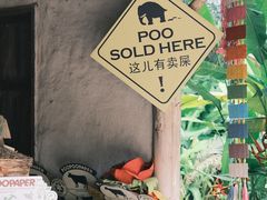 -大象粑粑造纸公园