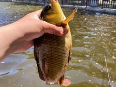 -酷鱼垂钓CLUB(朝阳区博大路店 )