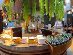 -齐河孔雀王温泉酒店·金孔雀自助百汇