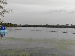 -长春市南湖公园