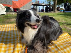 -栖露营camping·天幕烧烤·团建拓展·采摘营地