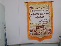 -宠福鑫康馨动物医院·骨科·眼科