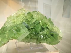 -中国地质大学逸夫博物馆