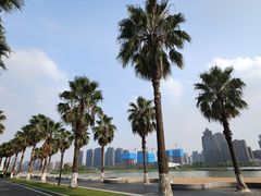 -金沙湖公园