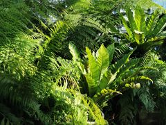 -国家植物园南园