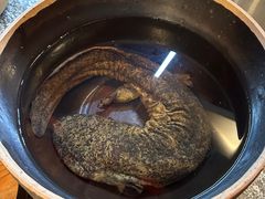 -印象鲵宴·张家界地标美食名片(溪布街店)