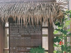 -前小桔亲子创意农场·草莓采摘·露营烧烤
