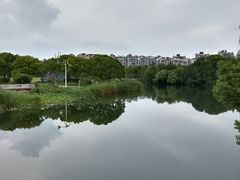 -新江湾城公园