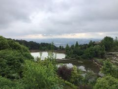 -铁山坪森林公园