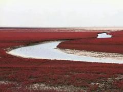 -红海滩国家风景廊道