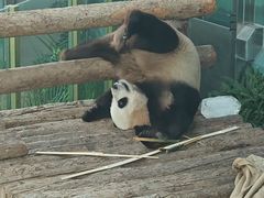 -大连森林动物园