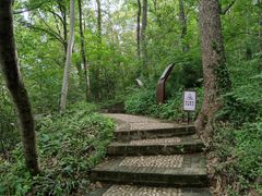 -镇江市南山风景名胜区竹林景区