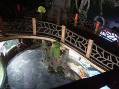 -苏州海洋馆