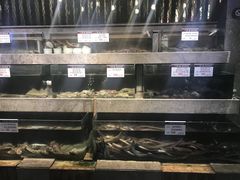 -船歌·鱼水饺青岛菜(闽江二路店)