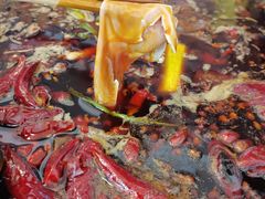 -黄潇洒老火锅(九眼桥宏济巷店)