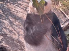 -济南野生动物世界