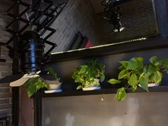 -九鼎轩脆毛肚火锅(南京东路店)