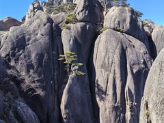 -黄山风景区