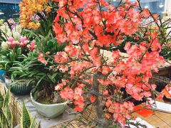 -双季花艺园艺市场(浦东店)