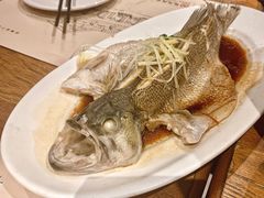 -胡桃里音乐酒馆(六安店)