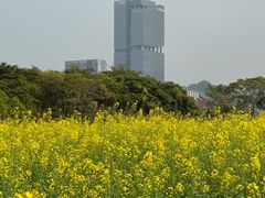 -光明小镇欢乐田园