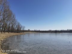 -东郊湿地公园