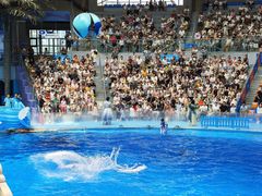 -海合安成都极地海洋公园