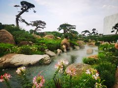 -罗红摄影艺术馆