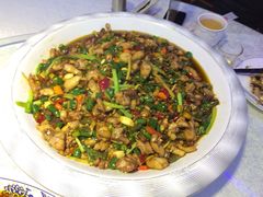 -新概念来凤鱼(璧山店)