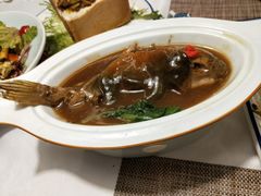 -肆月河豚·新淮扬(金融街店)