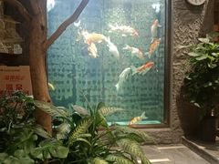 -弘安丽水温泉酒店