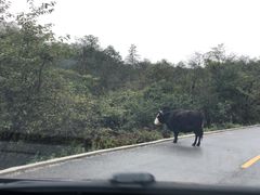 -石棉县孟获城