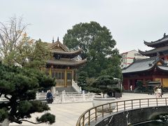 -上海东林寺(金山区)
