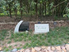 -上海吴淞炮台湾国家湿地公园
