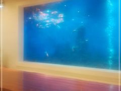-鹏天阁酒楼·海鲜(红旗店)