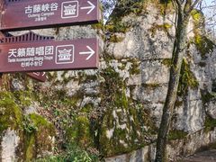 -山王坪喀斯特国家生态公园