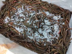 -乐山第一家临江鳝丝(茶坊路店)