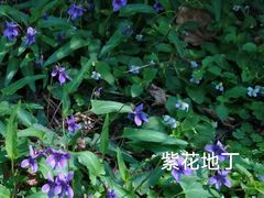 -洋湖国家湿地公园