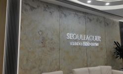 -上海首尔丽格医疗美容医院