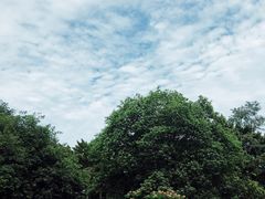 -八大关景区