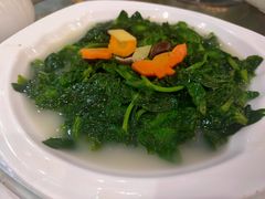 上汤豆苗-东江海鲜酒家(艺都分店)