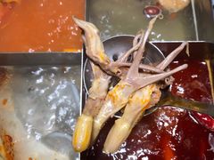 -海底捞火锅(凯德广场店)