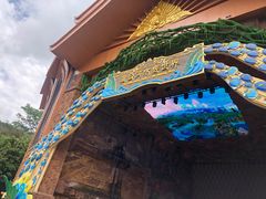 -西双版纳原始森林公园