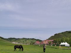 -关山草原