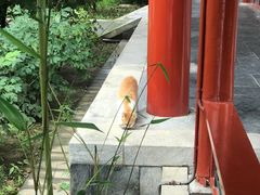 -有喜胶东小馆(超极合生汇太申祥和店)